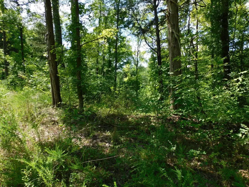 Picture 41