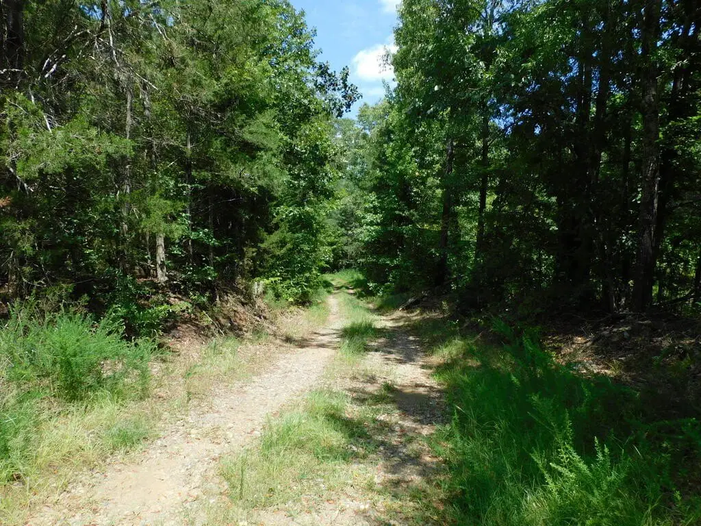 Picture 42