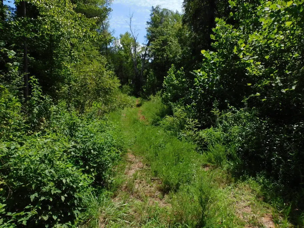 Picture 36
