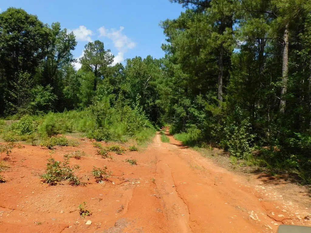 Picture 23
