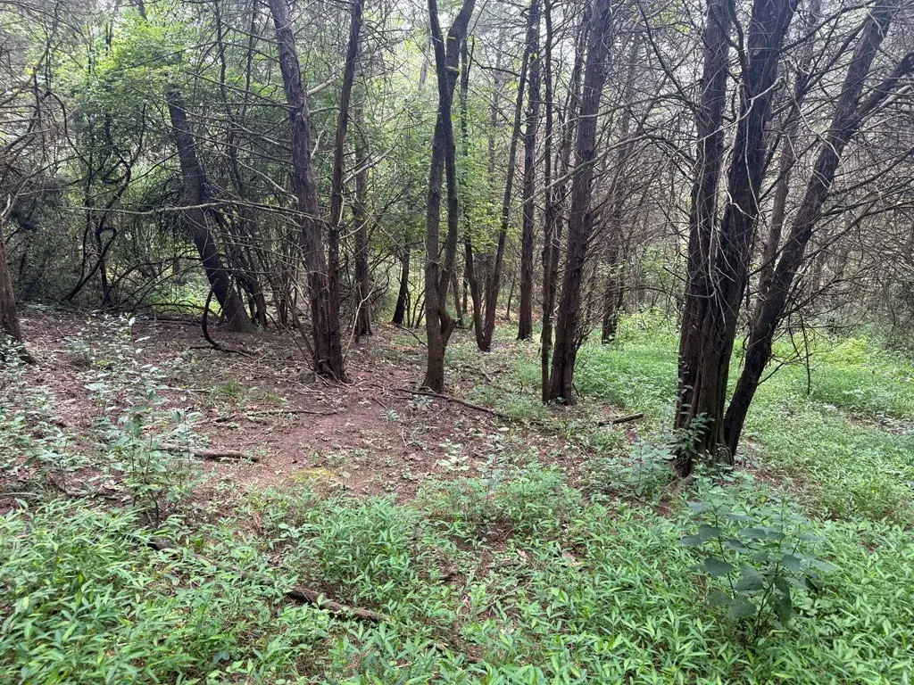 Picture 36