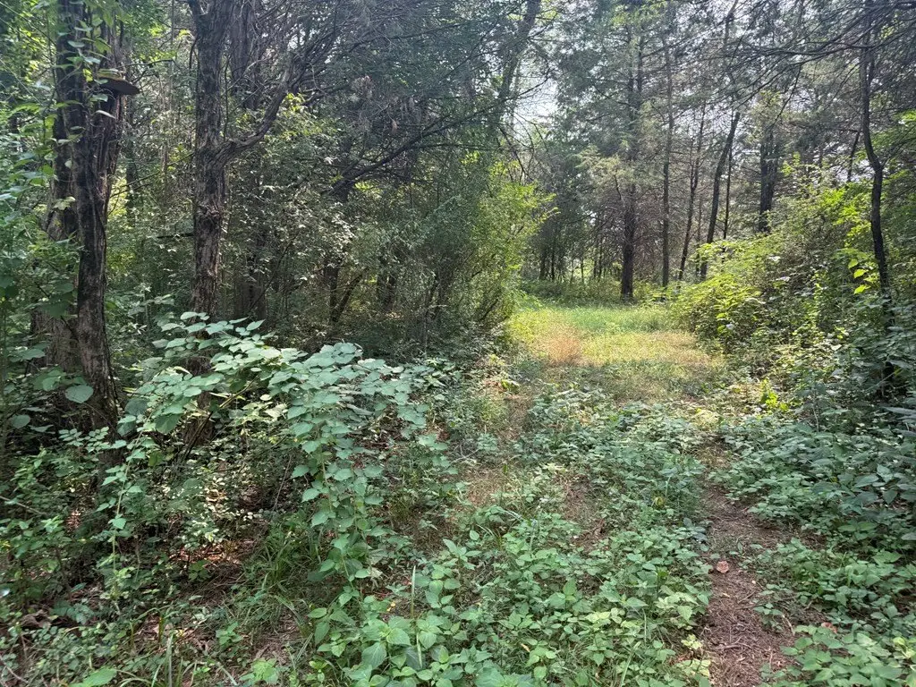 Picture 28