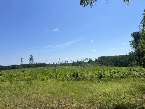 Wooded Land with Open Field
