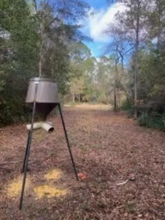 Picture 23