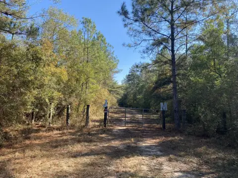 Wooded Recreation Land