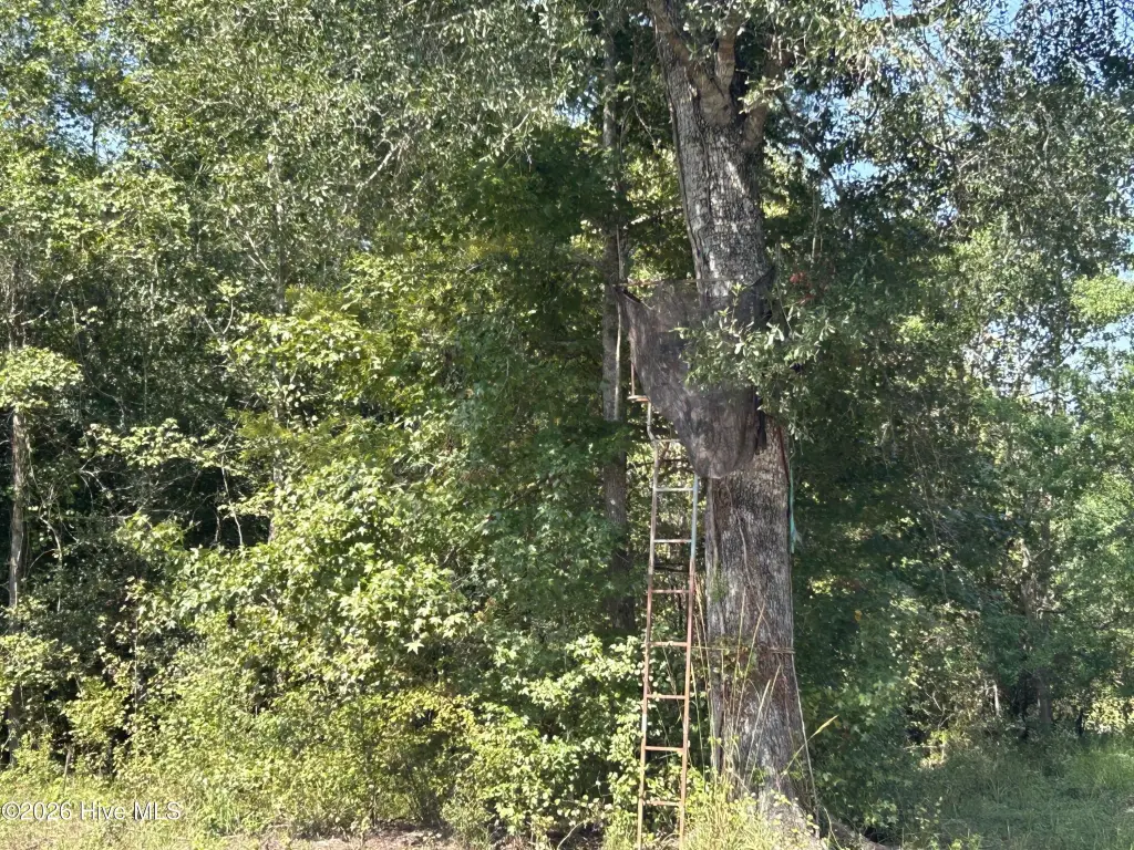 Picture 39