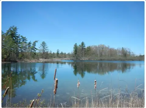 Waterfront Lot for Unforgettable Memories