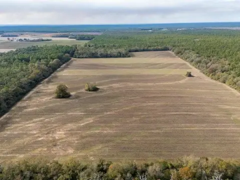 Agricultural Land
