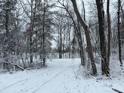 Wooded Land Near Tippy Dam