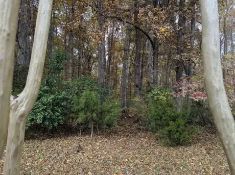 Spacious Land in Huntsville, AL