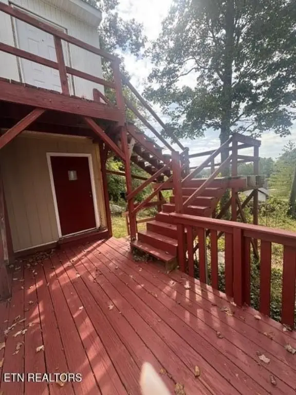 Picture 11