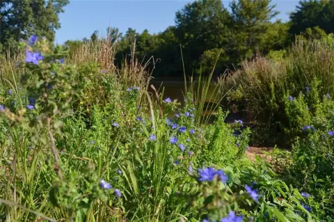 Texas Pastureland with Sunset Views