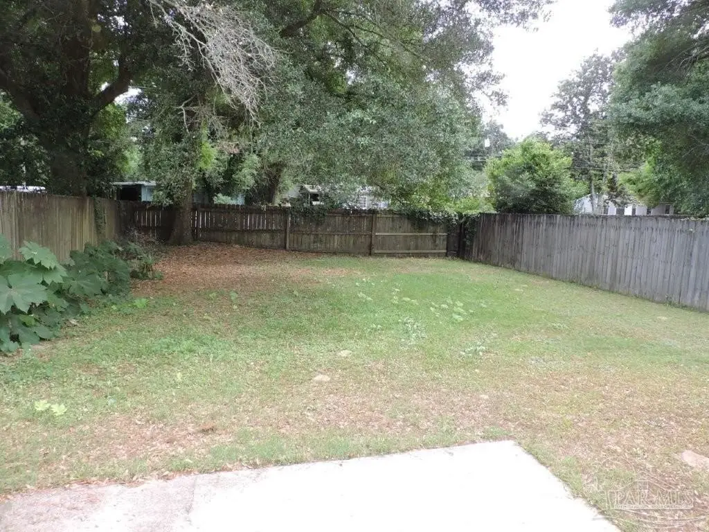 Picture 16