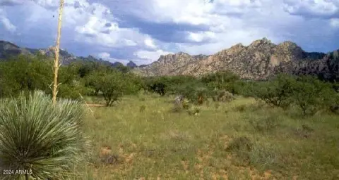 Rural Land with Forest Access