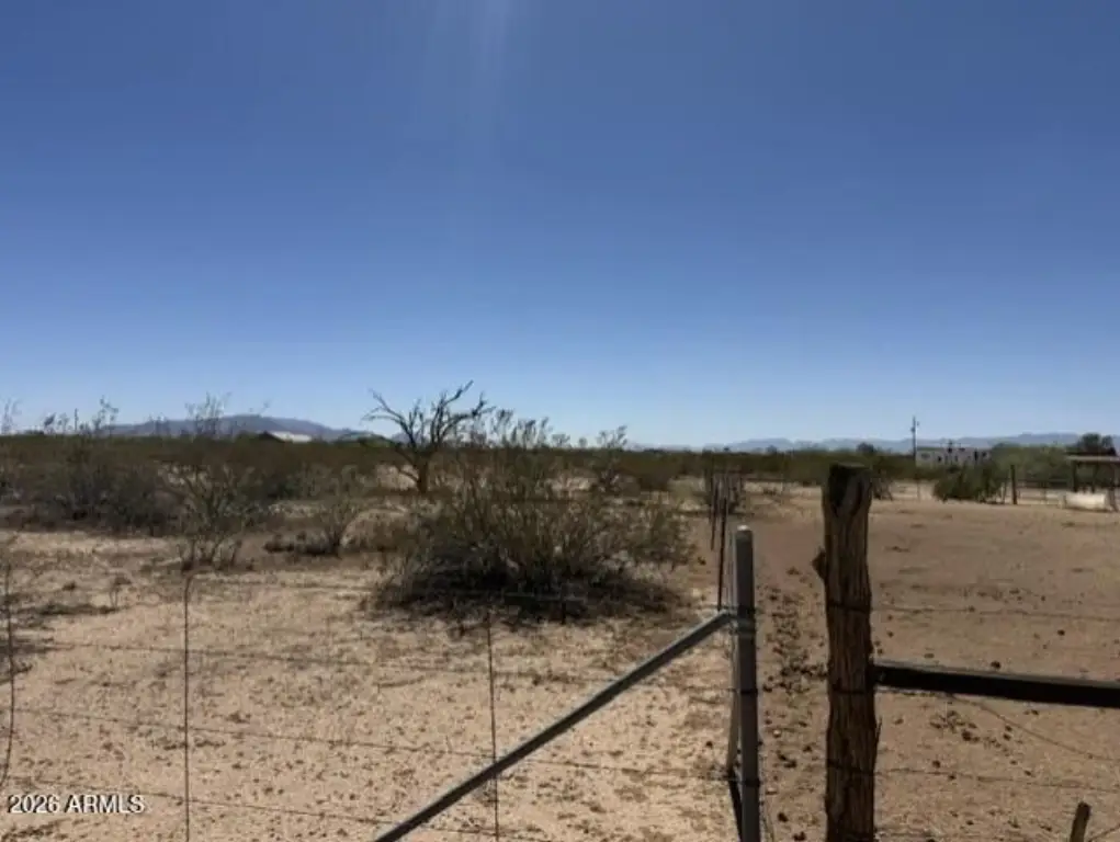 Picture 8