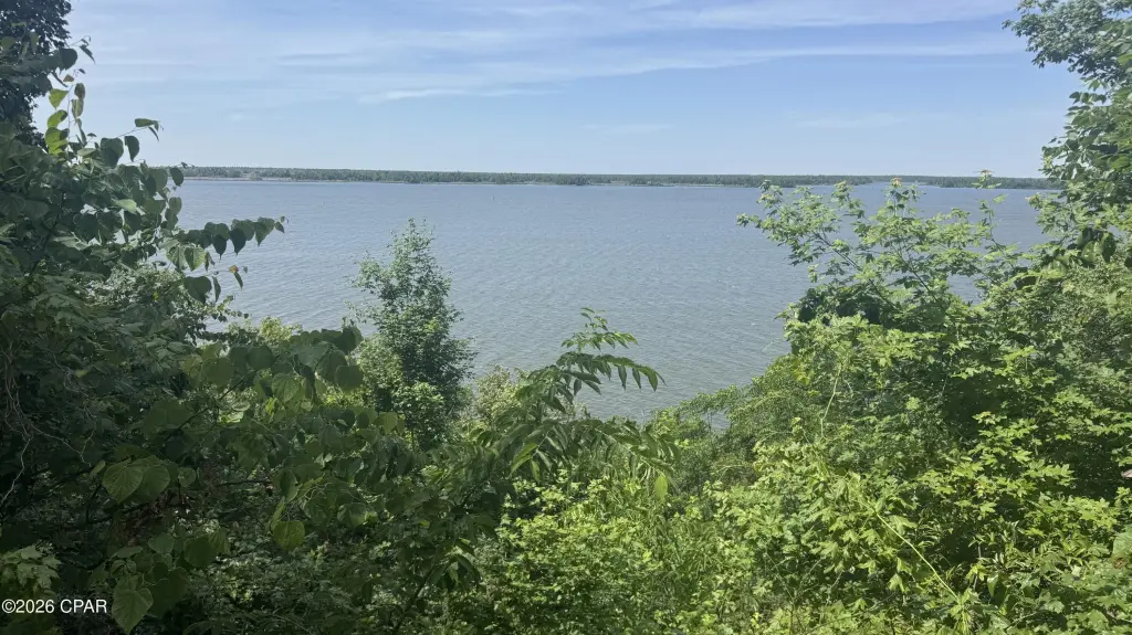 Picture 21