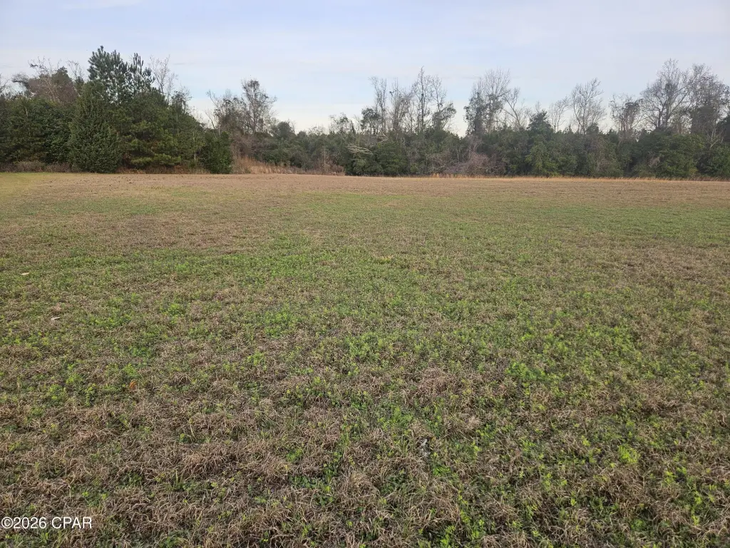 Picture 6