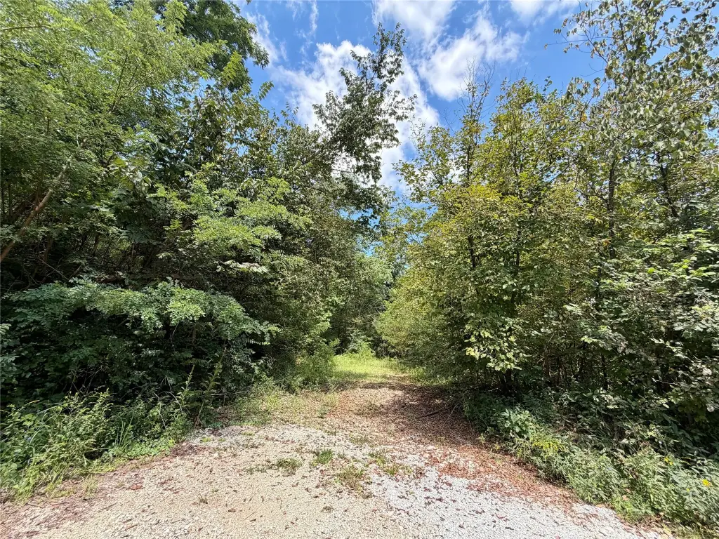 Picture 19