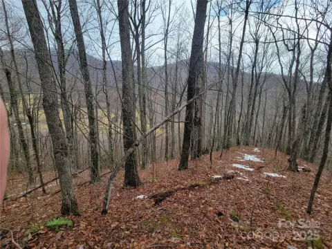 Waynesville Land with View Potential