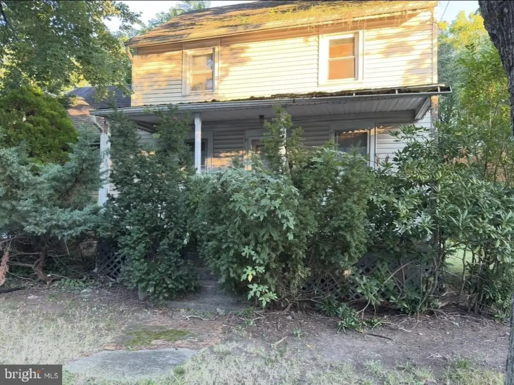Picture 4