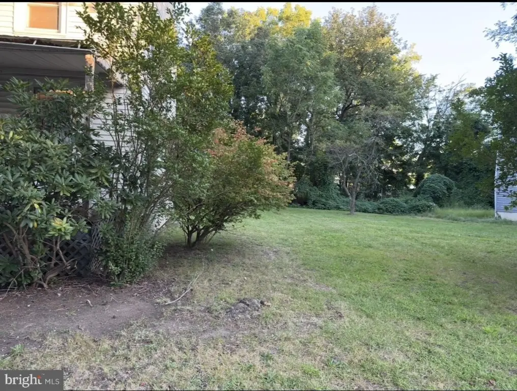 Picture 5