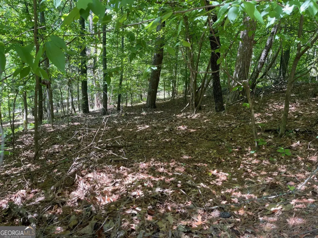 Picture 8