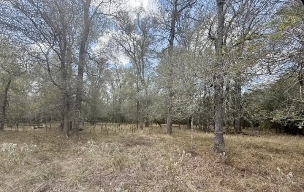 Picture 5