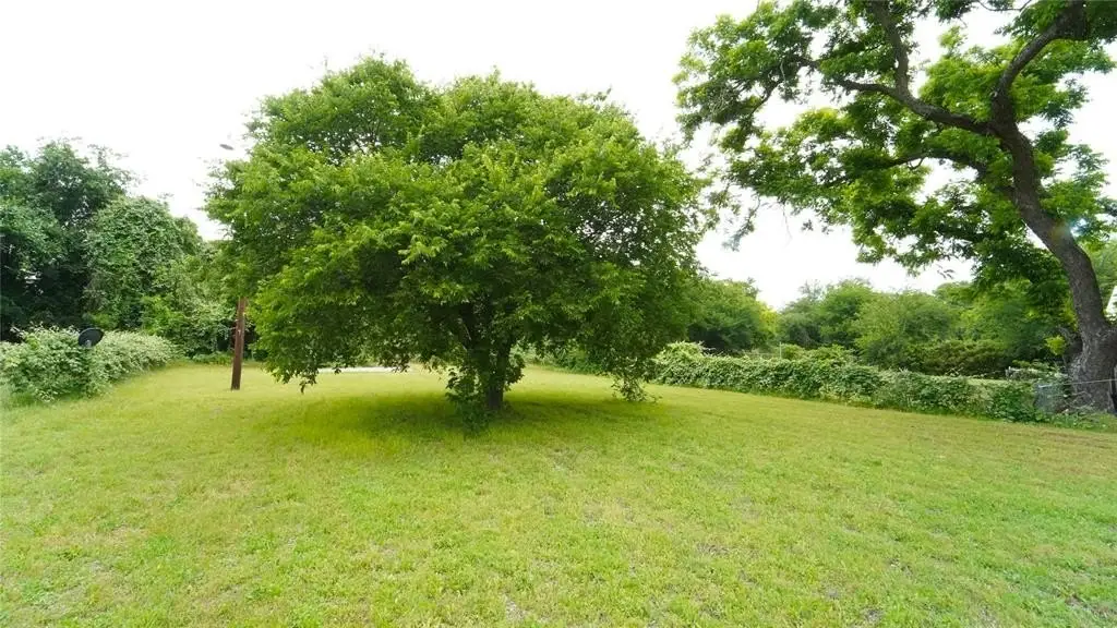 Picture 8