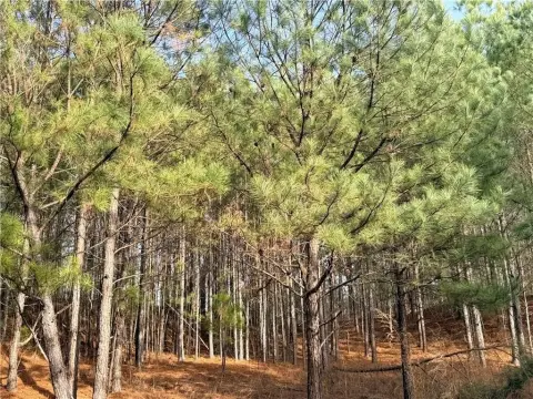 Undeveloped Residential Lot in Snellville
