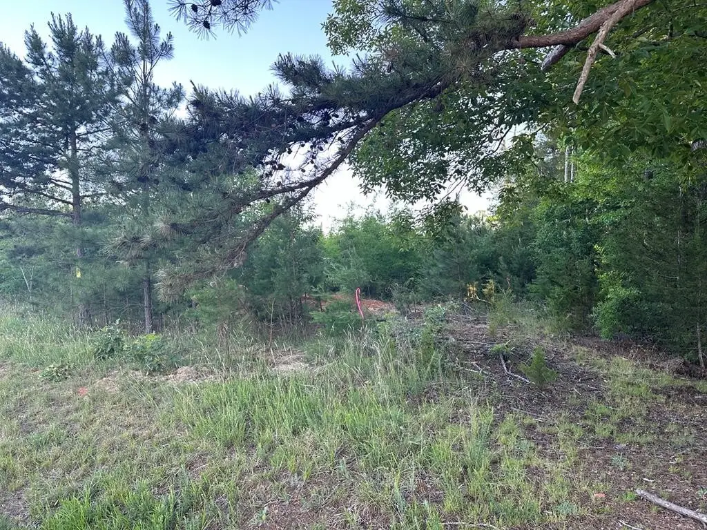 Picture 9