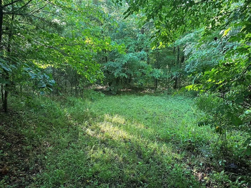 Picture 38