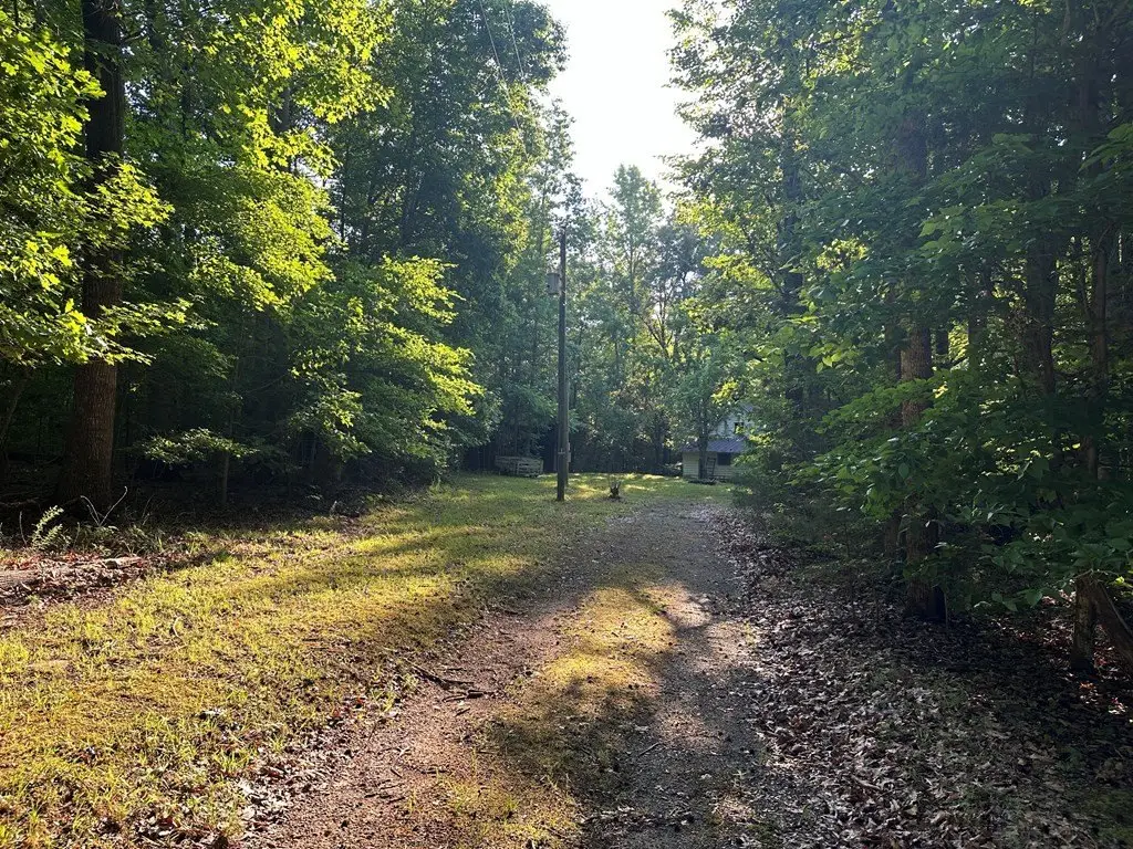 Picture 3