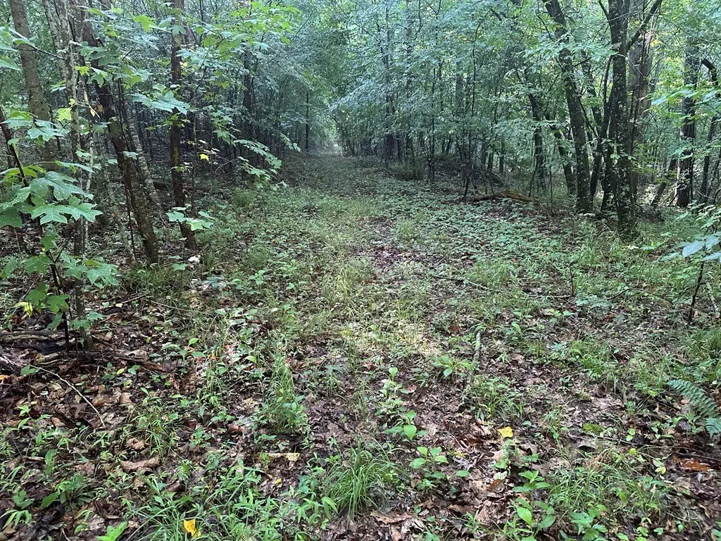 Picture 39