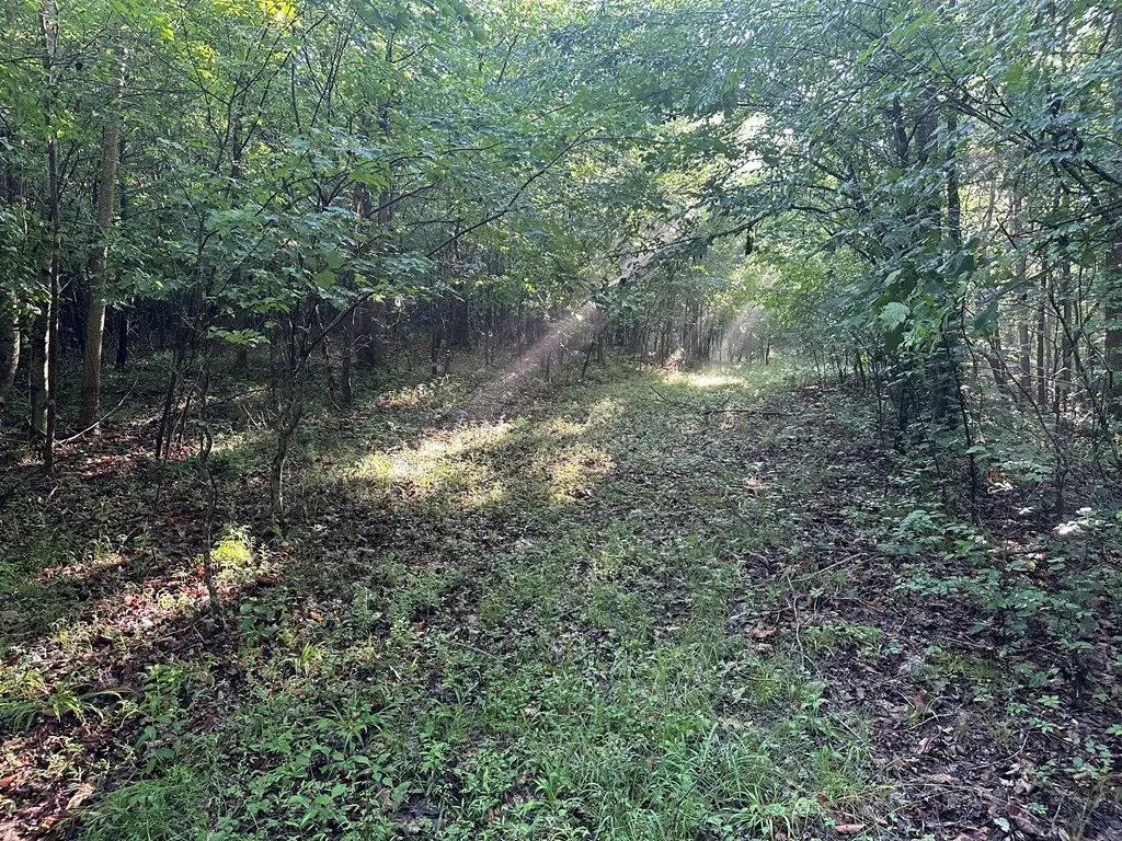 Picture 36
