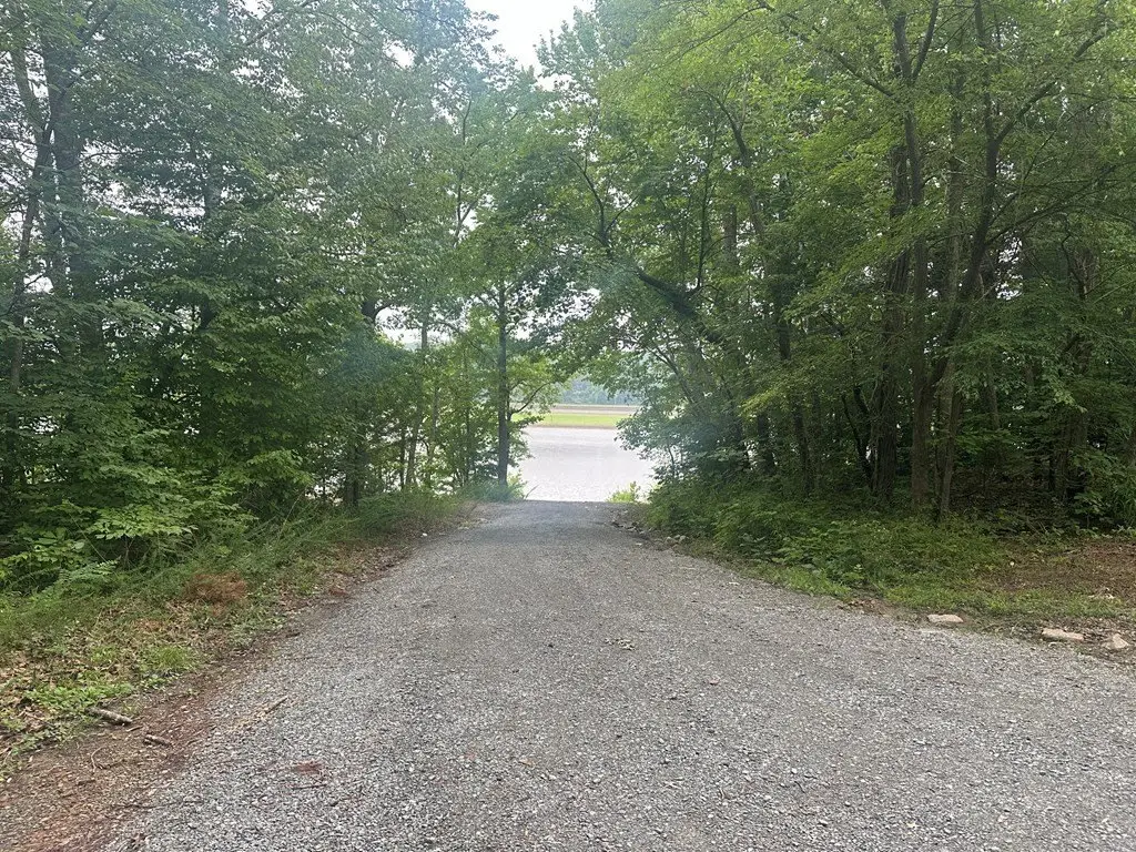 Picture 28