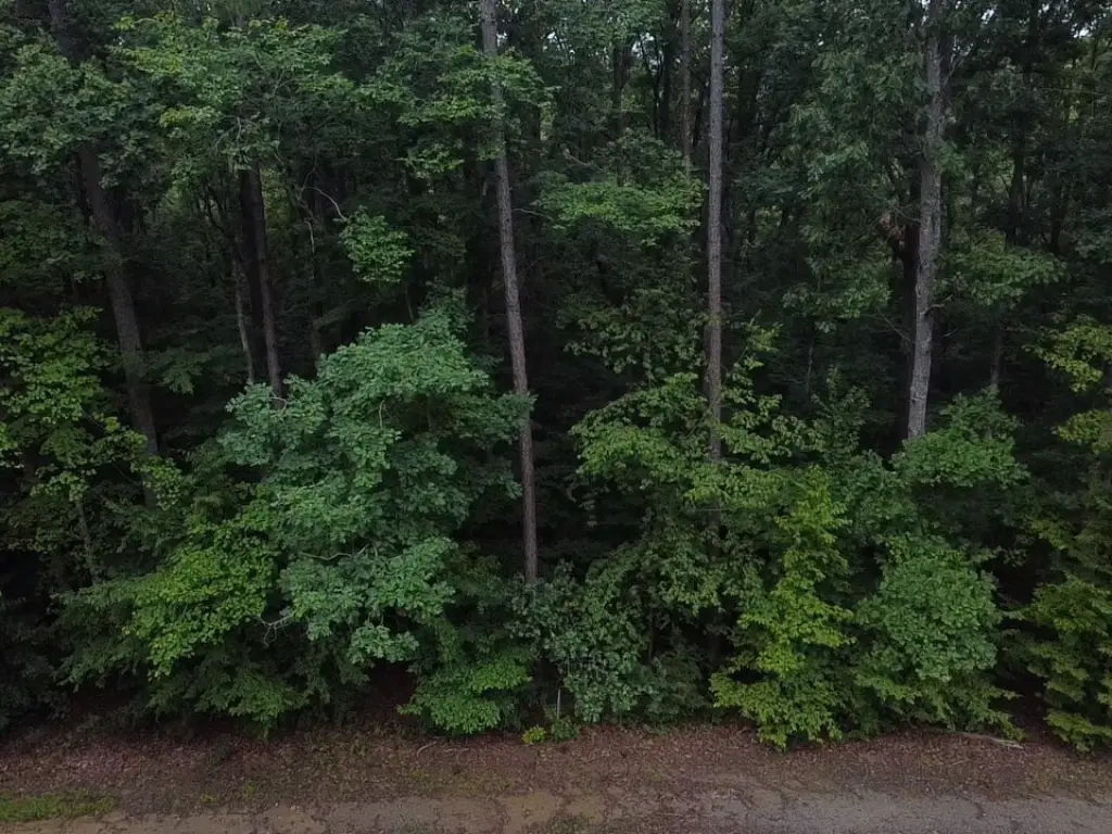 Picture 14