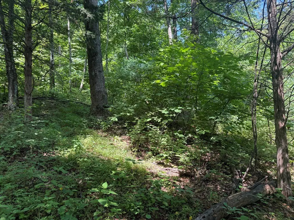 Picture 30