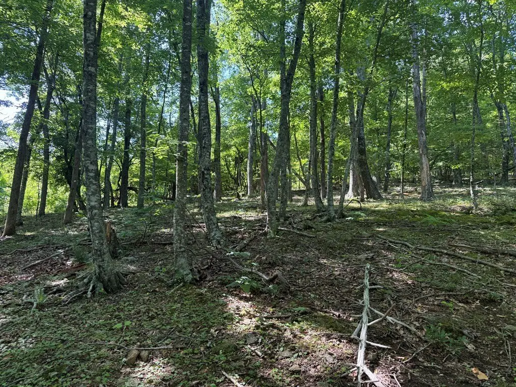 Picture 19