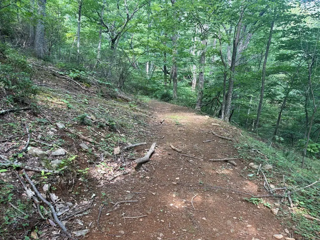 Picture 6