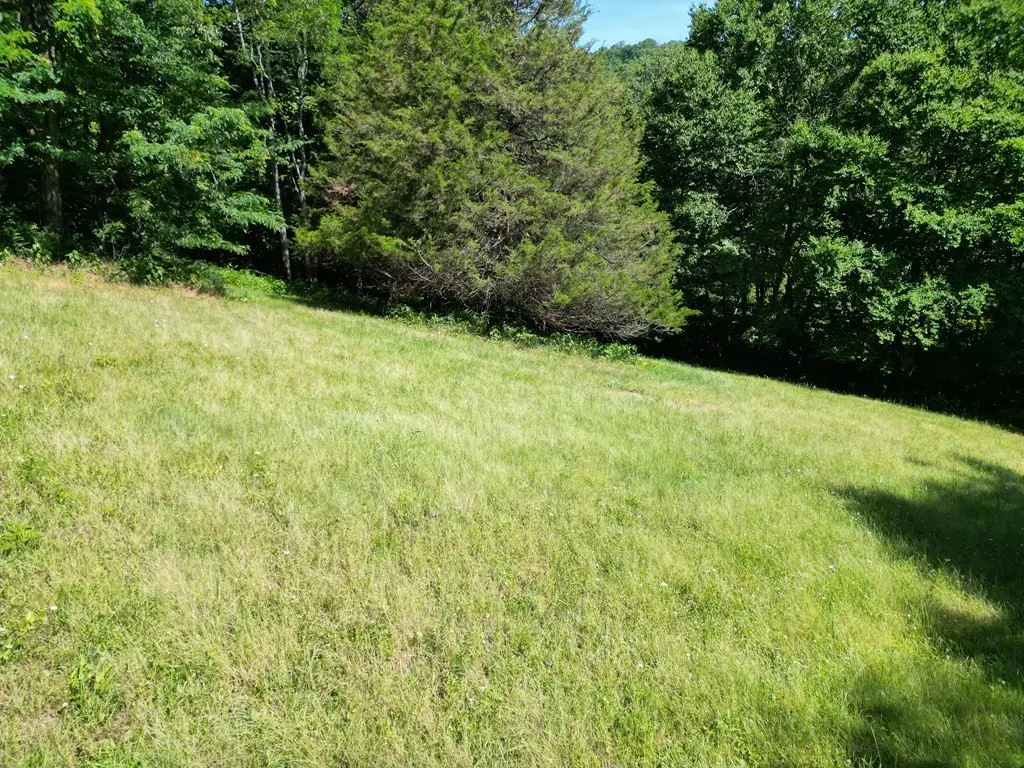 Picture 12