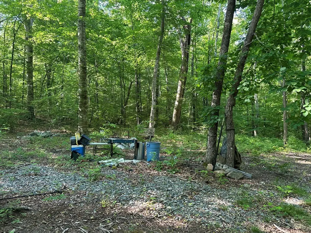 Picture 10
