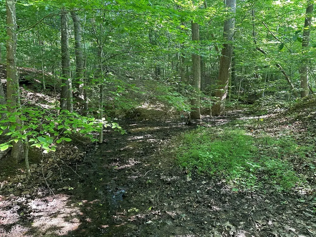 Picture 13