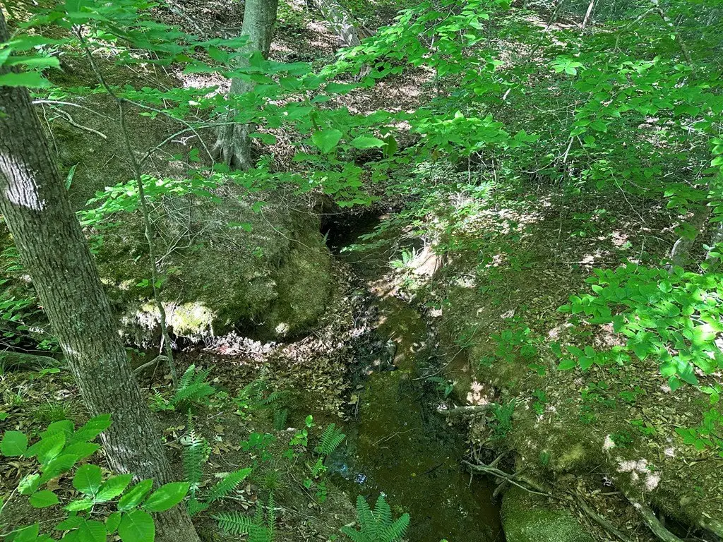 Picture 12