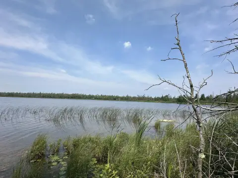 Land with Lake Frontage