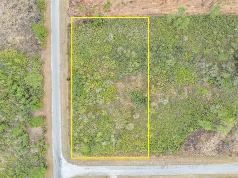 EUSTIS, FL Vacant Land