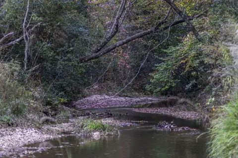 Brookhaven Vacant Land For Sale