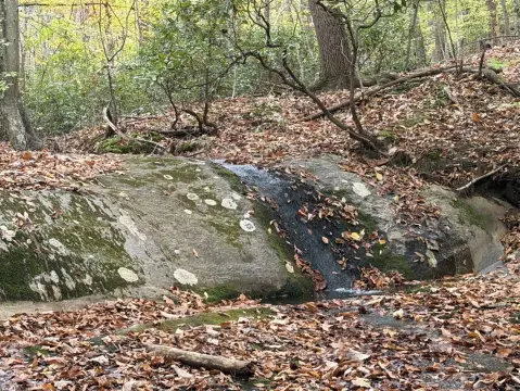 97 Acres of Vacant Land