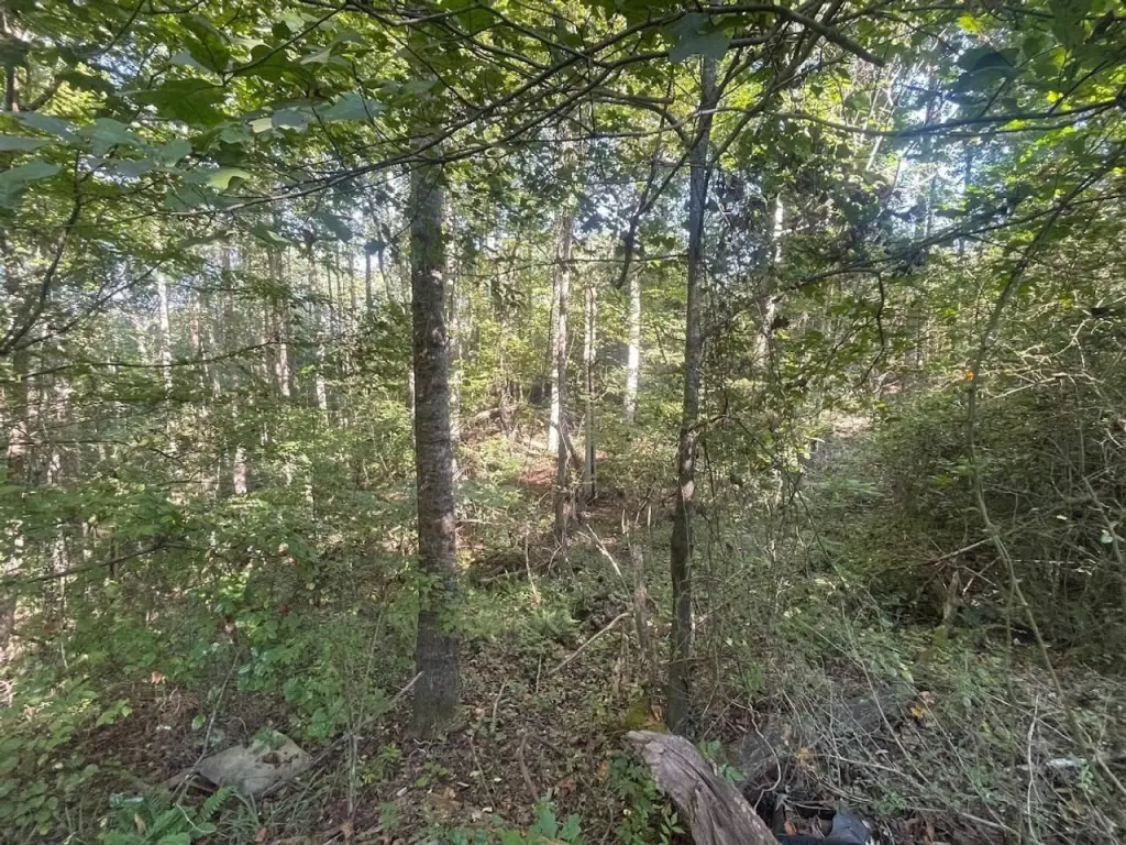 Picture 18