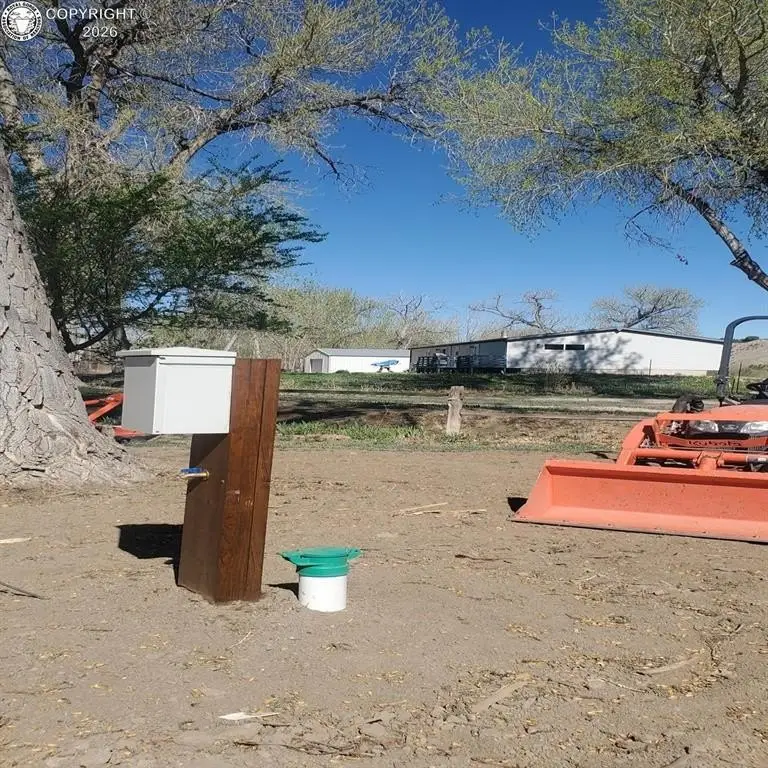 Picture 6