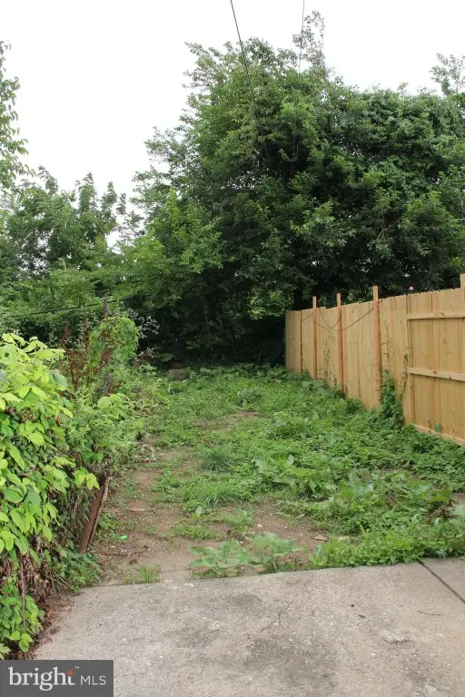 Picture 22